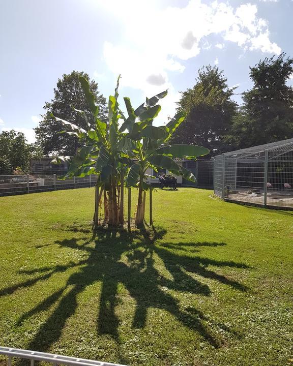 Vogelpark Oberhausen